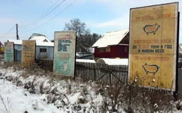 Работников свинокомплекса «Пермский» трудоустроили в краевое АО