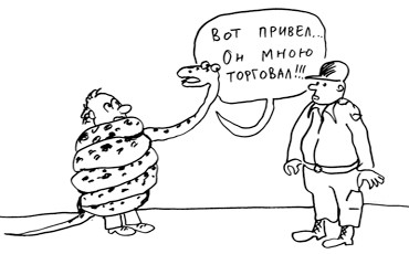 Торговля редкими животными станет “уголовщиной”