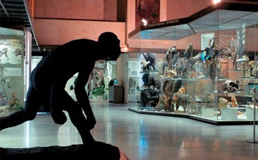 Учреждениям культуры ослабят налоги