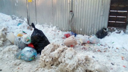 Для предотвращения мусорного коллапса в бюджете зарезервируют 12 млрд рублей