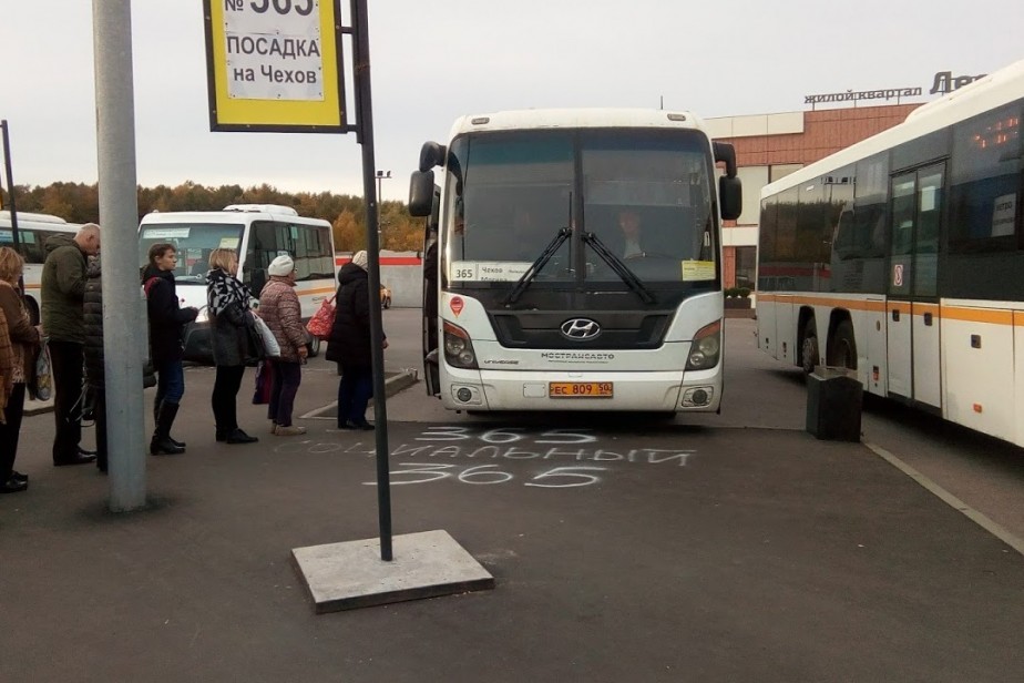Разделение водителей на любителей и профессионалов прокомментировали в отраслевом профсоюзе