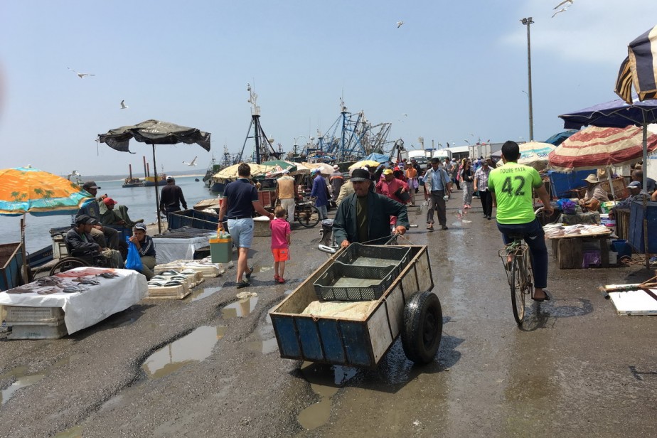 Профсоюзы Марокко требуют отозвать законопроект, ограничивающий забастовки