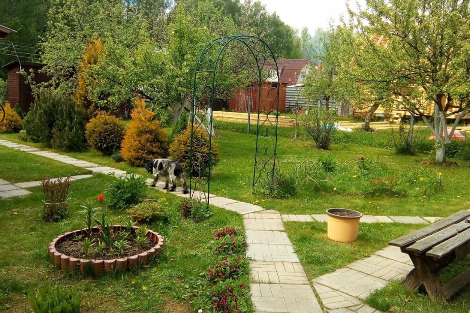 Россиянам продлили «дачную амнистию»