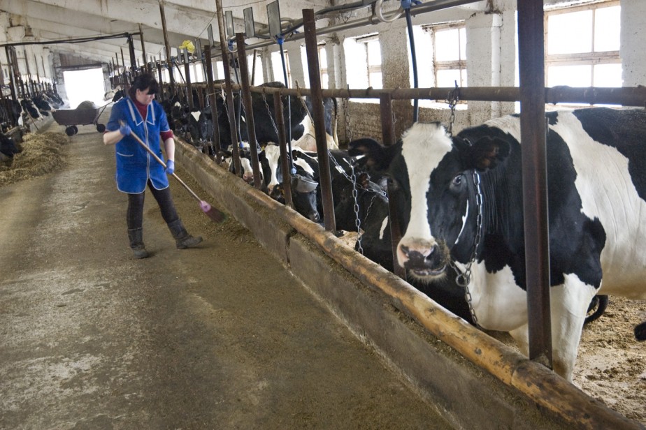 Сельским женщинам гарантируют сокращенную рабочую неделю