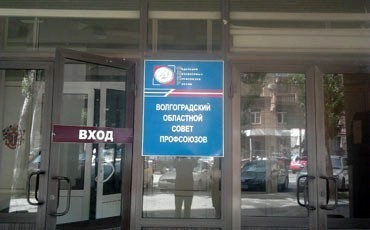 Пчелы против исполкома