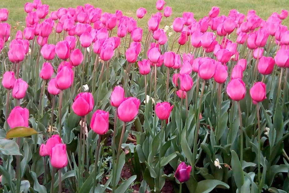 В марте россиян ждет короткая рабочая неделя