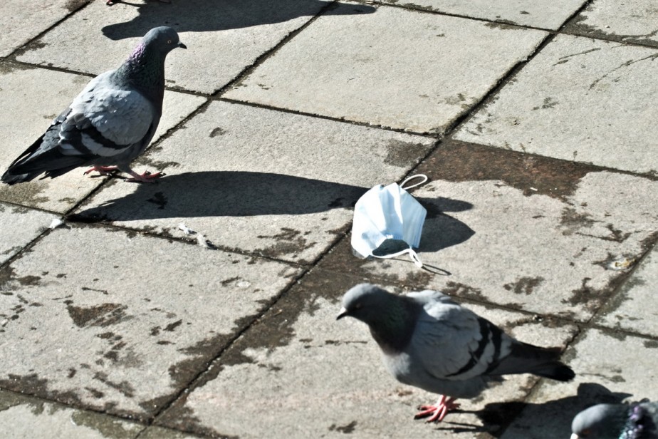 Силуанов: коронавирус для экономики опаснее падения цен на нефть