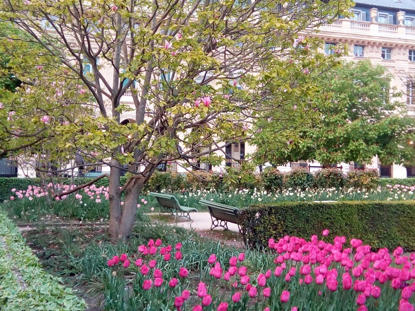 Открыть парки и скверы требует профсоюз французских медиков