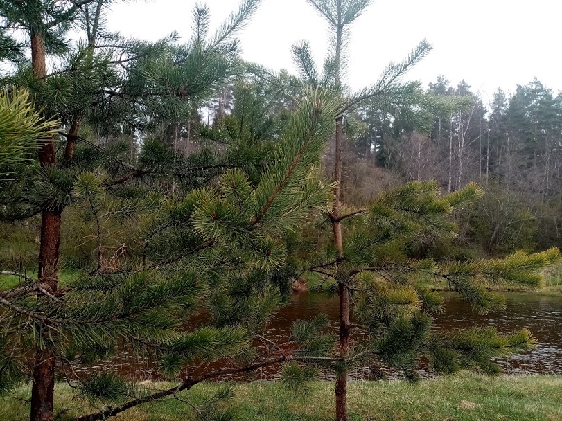 Законопроект об экологическом туризме внесен в Госдуму
