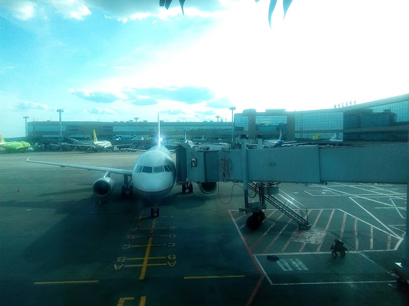 Авиакомпаниям выделят 3 млрд рублей на льготные перевозки