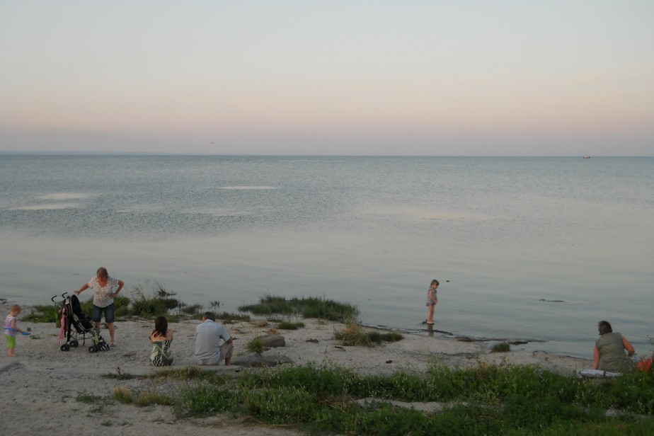 Социальные чеки для туристов предлагают ввести в России