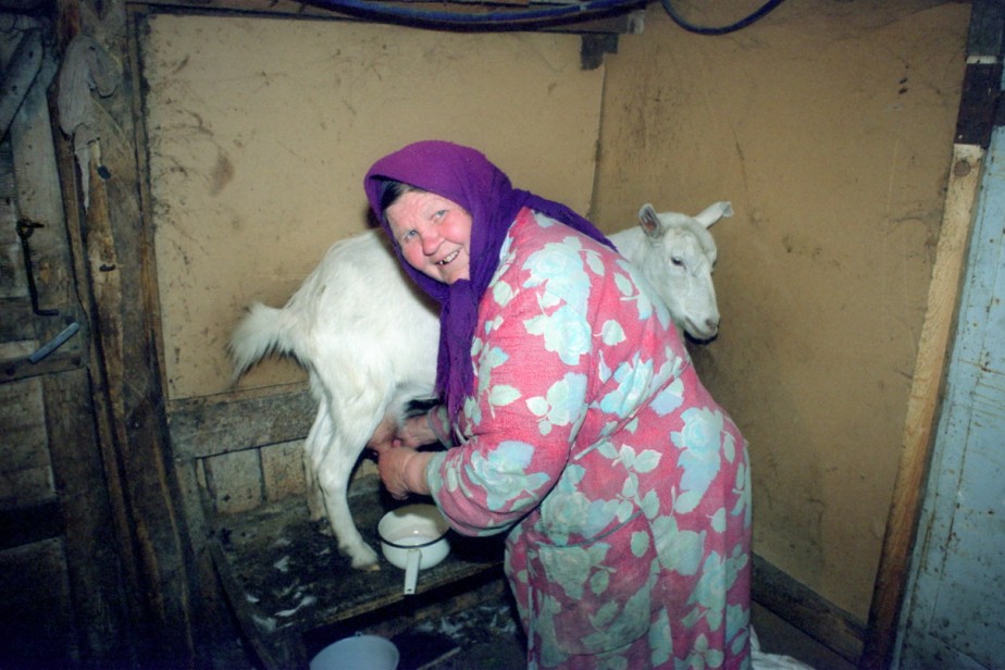 Премьер-министр Украины: через 15 лет мы не сможем выплачивать пенсии