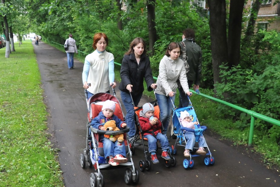 Осенний подвоз Осенний подвоз