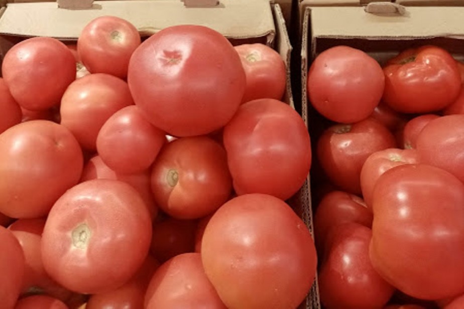 Лидерами января по темпу роста цен стали помидоры