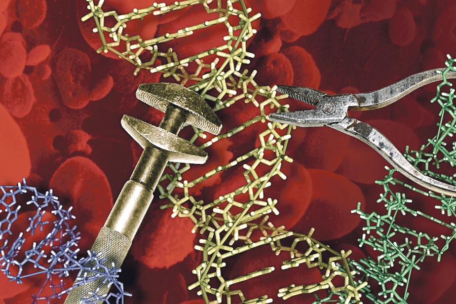 Судьба профессионала, зашифрованная в ДНК