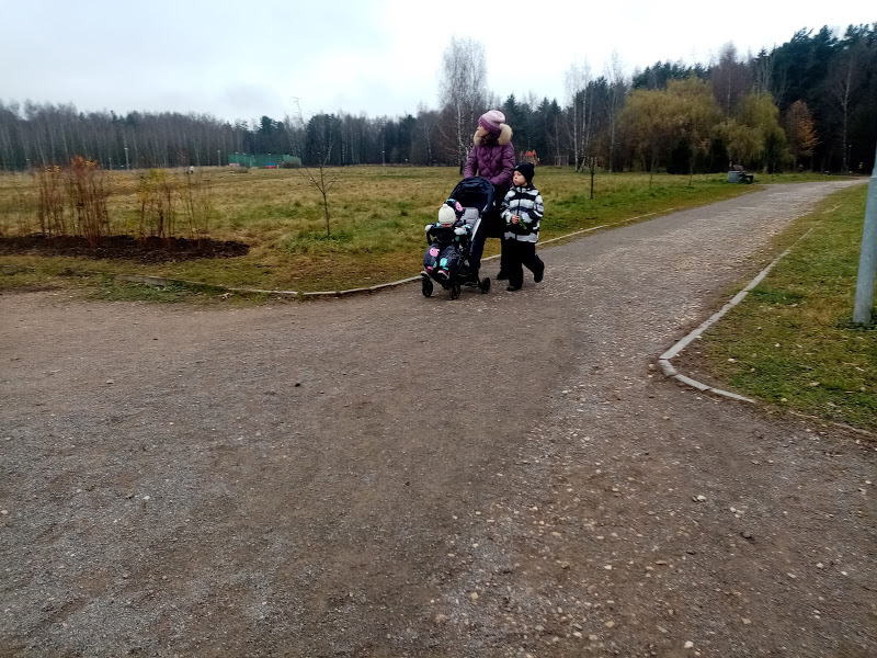 Средства маткапитала будет проще направить на улучшение жилищных условий