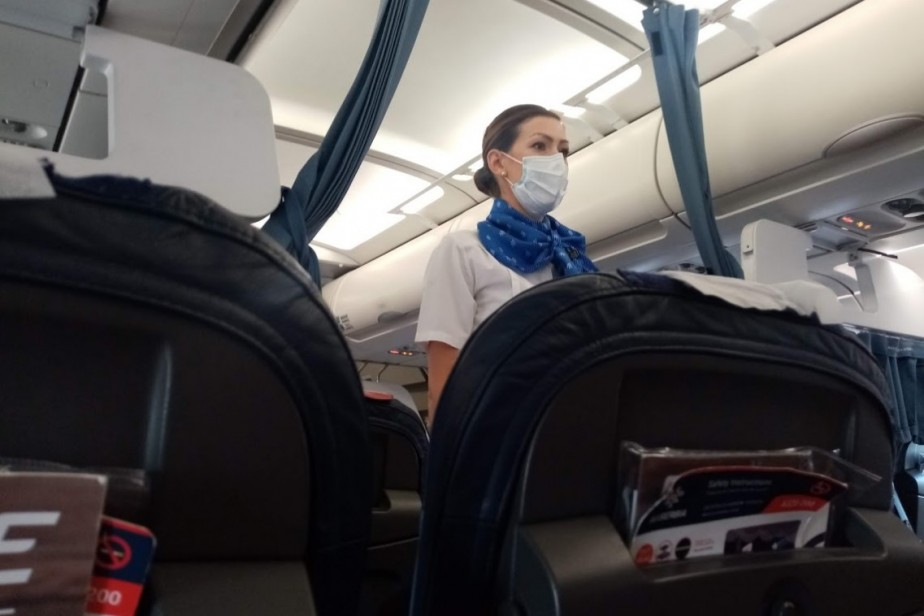 Пилотов и бортпроводников будут тестировать на ковид каждые 72 часа