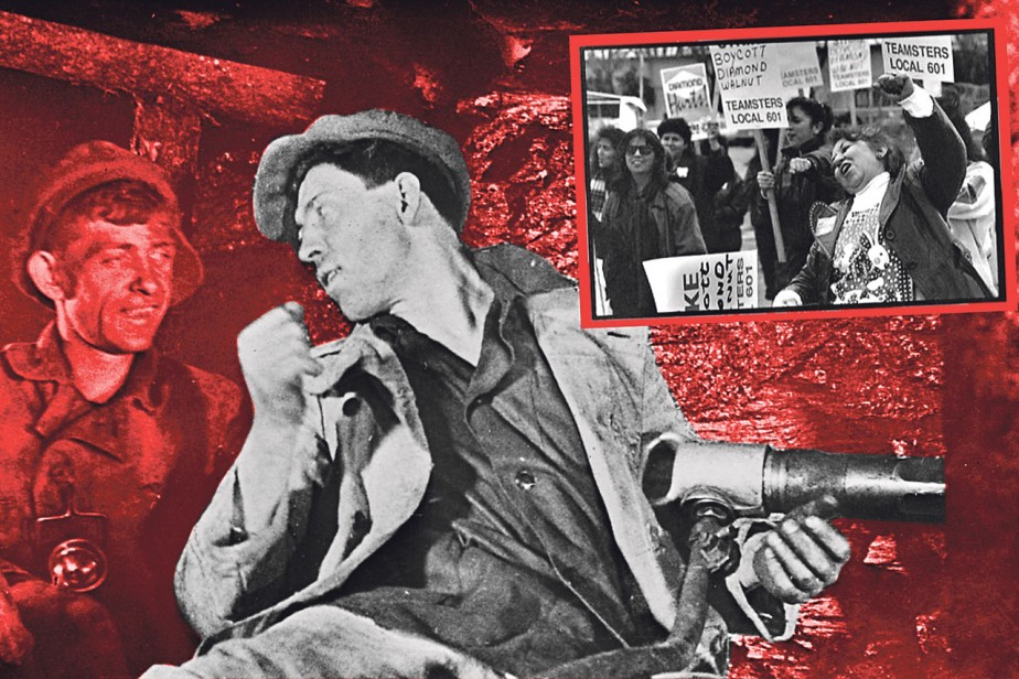 Дольше, старше, крупнее