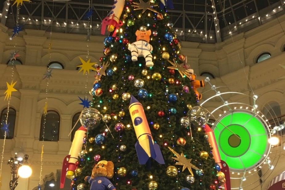 В России подорожали новогодние елки В России подорожали новогодние елки