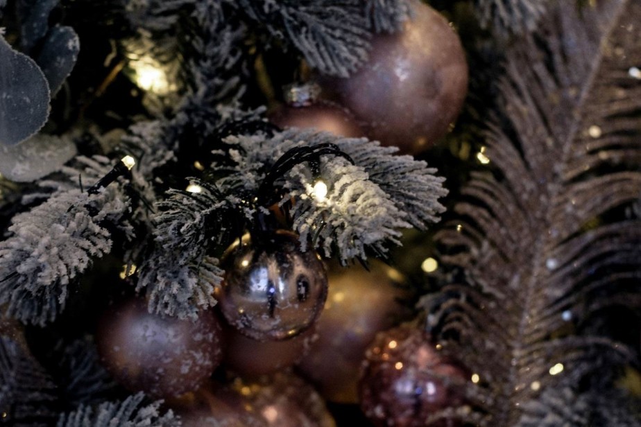 «Кто поздравит меня лучше всех…»