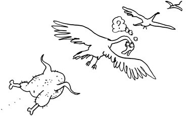 Жареный петух