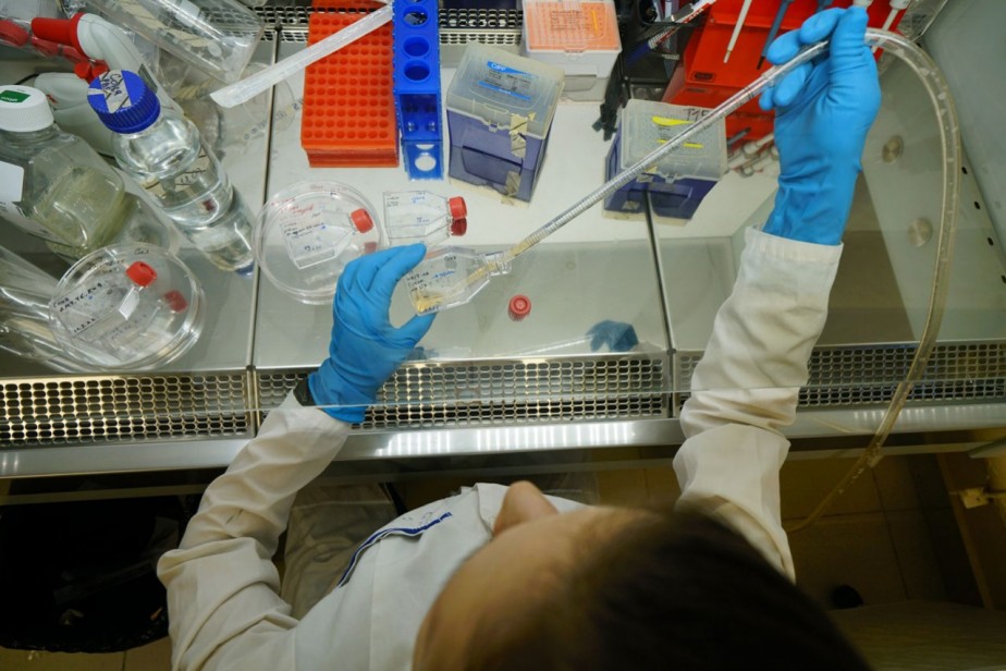 Берсерки науки