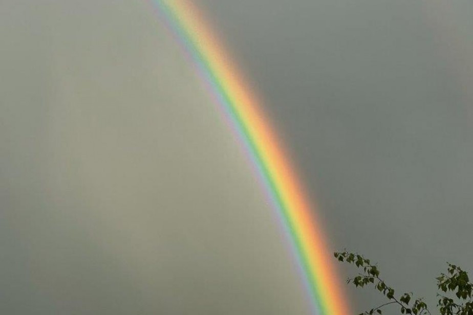 Фотоконкурс «Профсоюзная ВДНХ» стартовал в Коми