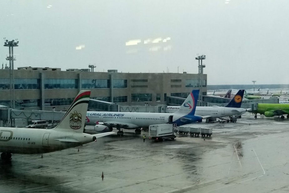 Около тысячи сотрудников «Уральских авиалиний» отправлены в простой