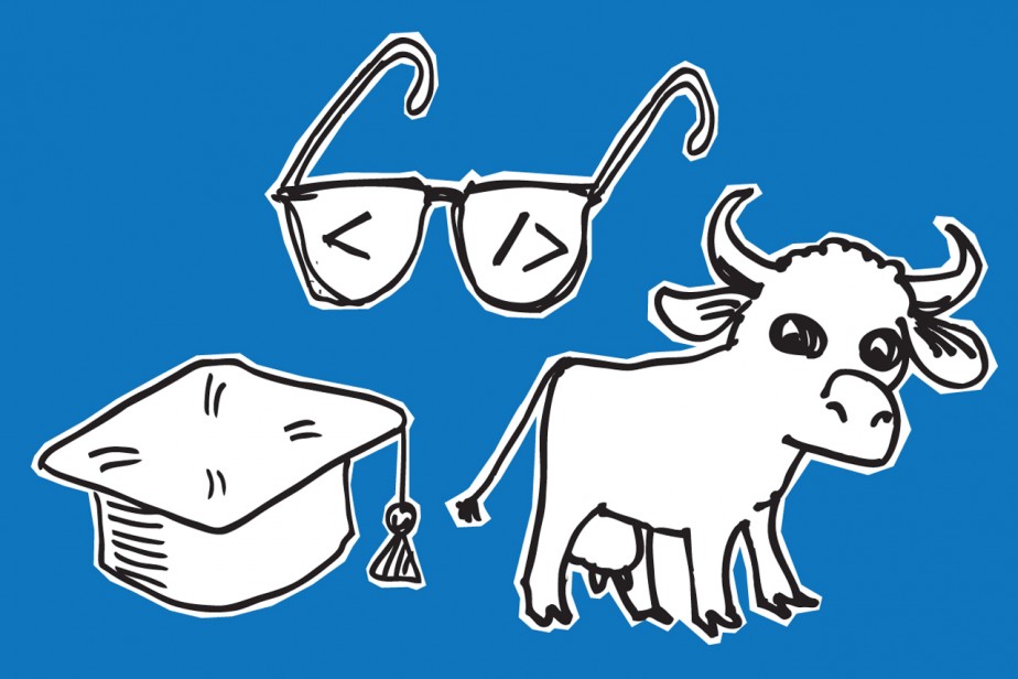 Куда пойти учиться?