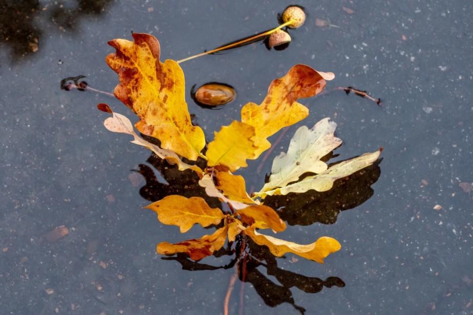 Ни добавить, ни прибавить