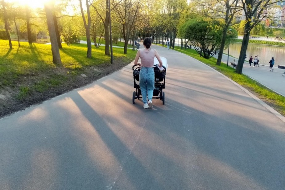 Соцфонд прогнозирует снижение рождаемости