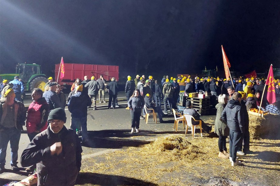 Запах протеста