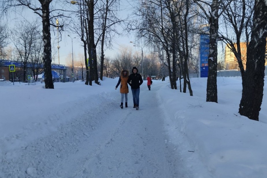 В Госдуме предложили переводить сотрудников на удаленку из-за снегопада