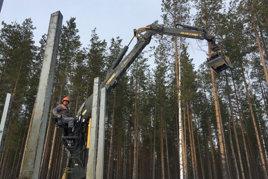 Эксперты рассказали, где предлагают высокие зарплаты работникам без опыта