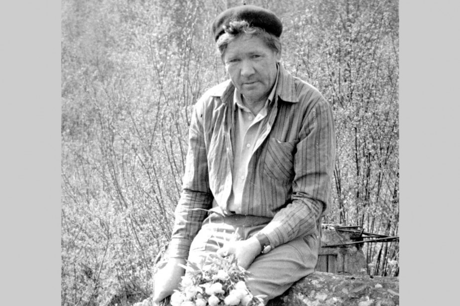 Дорога через лес мертвых