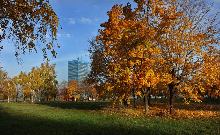 Отпуск на АВТОВАЗе в 2025 году: профсоюзным комитетом согласован проект приказа