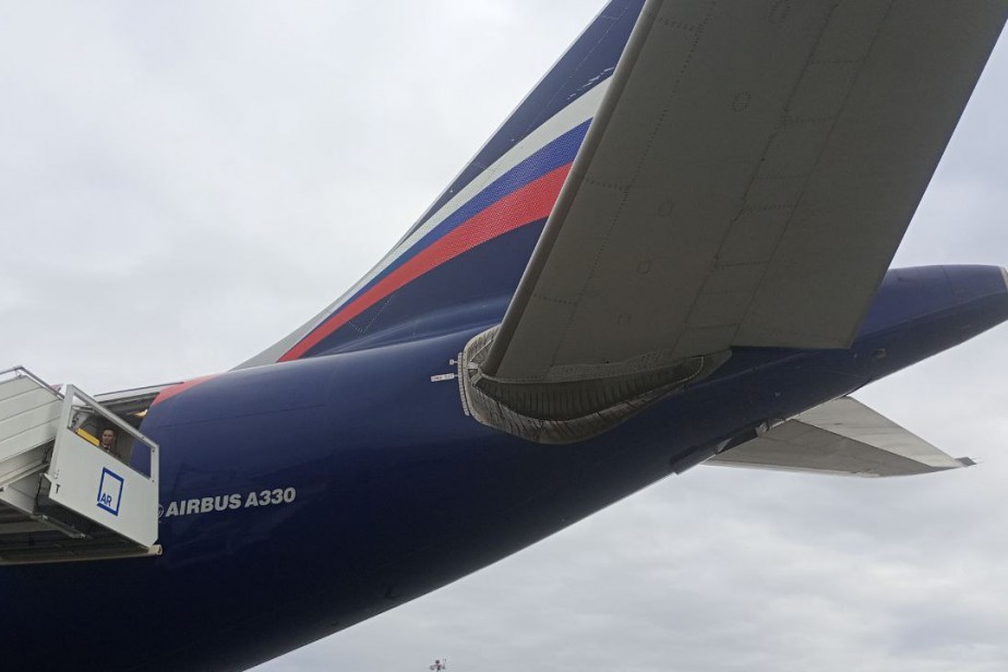 Прокуратура проверит «Аэрофлот» на предмет нарушений трудовых прав сотрудников