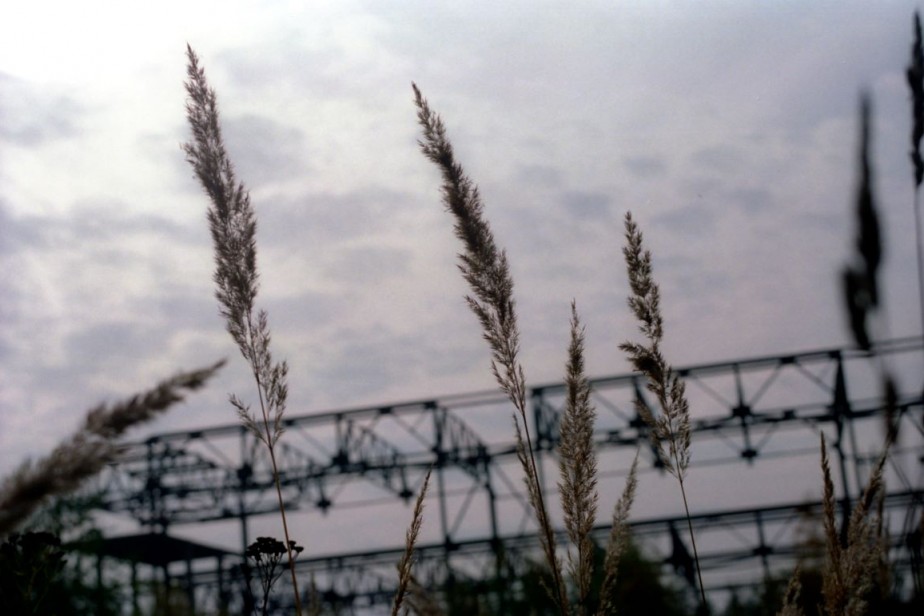 В Ростовской области из трудового рабства освободили шесть человек