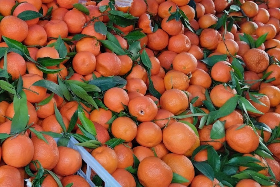 Новогодний стол будет стоить 7 тыс. рублей