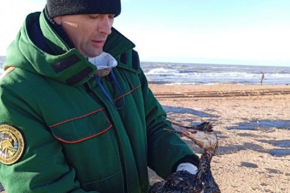 Члены профсоюза из Краснодарского края активно участвуют в ликвидации последствий разлива нефтепродуктов в Анапе