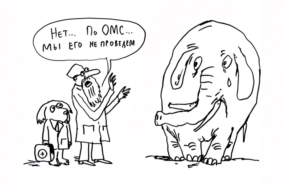 Семь шапок из шкуры ОМС