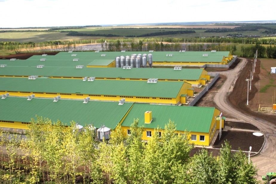 Алексеевская профорганизация АПК. На селе чужих не бывает