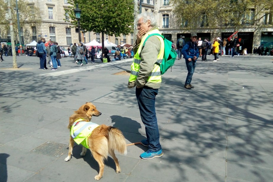 В сентябре Франции грозит всеобщая забастовка