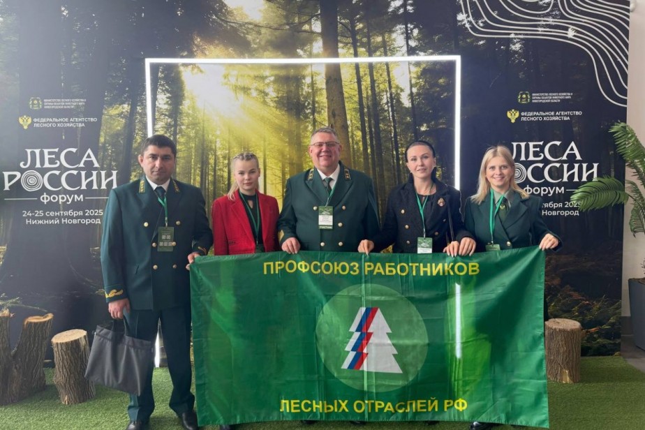 На вершине отраслевого успеха: специалисты ЦФО задали тон на Всероссийском форуме «Леса России»