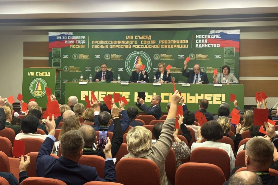 Денис Журавлёв вновь возглавил Профсоюз работников лесных отраслей РФ Денис Журавлёв вновь возглавил Профсоюз работников лесных отраслей РФ