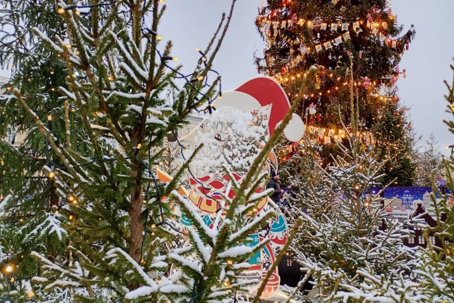 Новогодние каникулы‑2026: россияне расходятся во мнениях о длительности отдыха