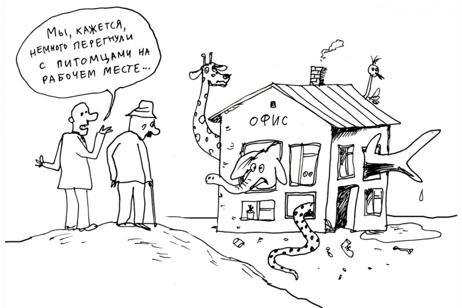 Мы самая обаятельная и привлекательная фирма