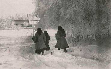 Теплушки, тиф и продпайки