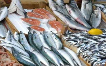 Рыбакам готовят “амнистию”