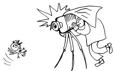 “Солидарность” объявляет новый фотоконкурс